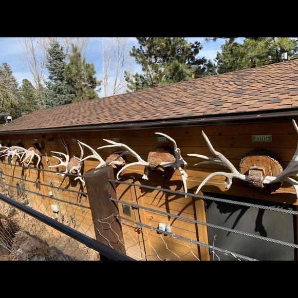 Meet your Posher, Cindy - Picture 1 of 1